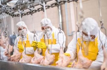 Тахианы махнаас коронавирус илэрлээ