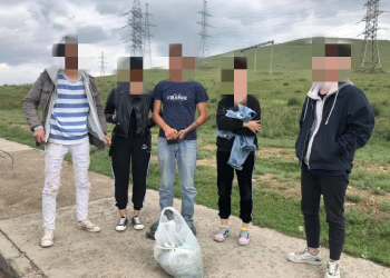 Сэтгэцэд нөлөөлөх төрлийн ургамал нэвтрүүлэх гэж байсныг илрүүлжээ