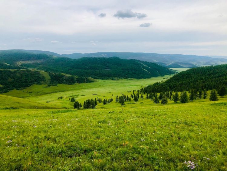 “Нөхөн сэргээлт-2020” хяналт, шалгалт хоёр сар үргэлжилнэ