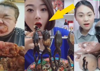 БНХАУ-д мукбангийг хориглоно