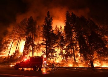 Калифорни мужид аянгын улмаас 530км/кв талбай шатаж байна