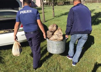 36 тарваганы нойтон тулам хадгалж байсныг илрүүлжээ