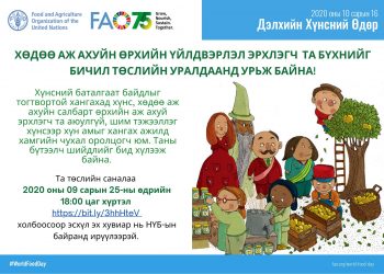 ХАА-н өрхийн үйлдвэрлэл эрхлэгч нарын дунд бичил төслийн уралдаан зарлагдлаа