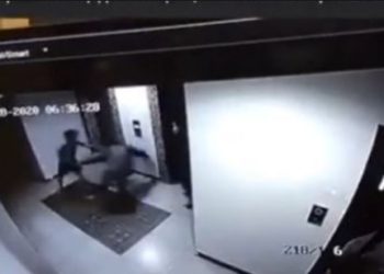 Хорио цээрийн үед гэртээ хүн цуглуулж, үүргээ гүйцэтгэж яваа албан хаагчийг зоджээ