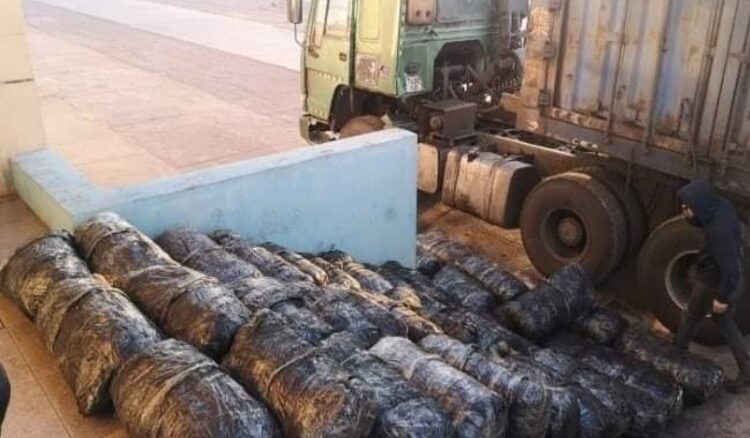 Дэрэвгэр жиргэрүү ургамлын үндэс хилээр гаргахыг завджээ