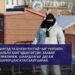 ШУУРХАЙ: БЗД-ИЙН II, VII ХОРООНЫ ЗАРИМ БАЙРУУДАД ХӨЛ ХОРИО ТОГТООЛОО