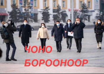 ЧОНО БОРООНООР БУЮУ АН-ЫН ЗОДООН ГУДАМЖИНД ГАРЛАА