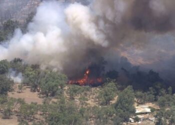 Австралийн баруун эрэгт гарсан түймэр хүрээгээ тэлсээр байна