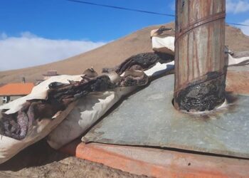 СЭРЭМЖЛҮҮЛЭГ: Гэр нь шатаж хоёр настай охин энджээ