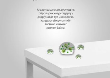 Халдваргүйжүүлэлт хий