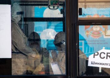 ЭМЯ ШУУД: Өнөөдөр 206 хүнээс Kopoнaвиpycийн халдвар илэрлээ