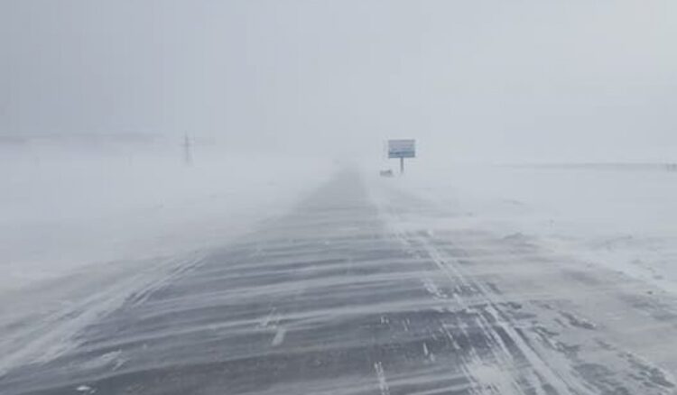 Амралтын өдрүүдэд цасан болон шороон шуурга шуурч, хүйтний эрч чангарна