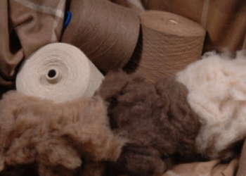 Ноолуур боловсруулах аж ахуй нэгжүүдэд маргаашнаас 200 термумын хөнгөлөлттэй зээл олгоно