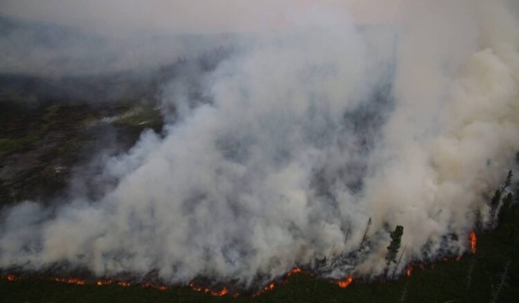 Сэлэнгэ аймгийн Ерөө суманд хээрийн түймэр гарчээ