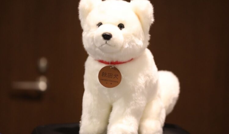 Монгол Улсын Ерөнхий сайдад Японы Ерөнхий сайд Акита үүлдрийн нохой бэлэглэжээ