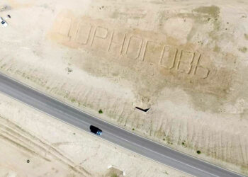 Дорноговь аймгийн түүхт ойд зориулж хайлаас модоор нэрийг нь бүтээжээ