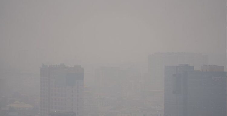 Түймрийн утааны хорноос хамгаалж N95 маскийг зүүгээрэй