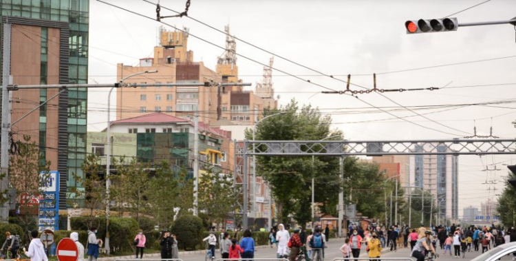 Сондгой тоогоор төгссөн дугаартай автомашин хөдөлгөөнд оролцоно