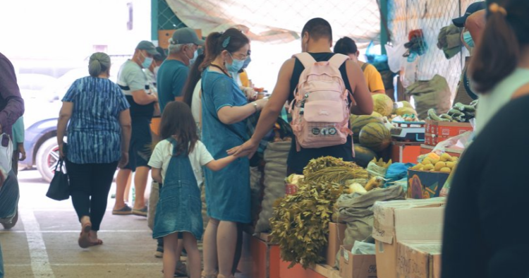 Ялалтын талбайд ногоочдод түрээсгүй талбай гаргаж өгнө