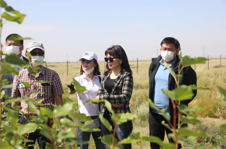 Цөлжилт бүхий аймгуудын удирдлагуудтай яам хамтарч ажиллах санаачлагыг гаргалаа