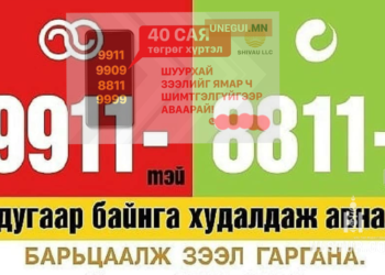 9911, 8811-тэй дугааруудын үнэ навс унаж дугаарын ченжүүд модоо барихдаа тулав
