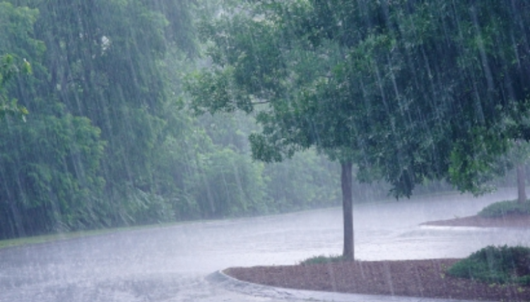 Сэрэмжлүүлэг: Цаг агаарын аюултай үзэгдлээс сэрэмжтэй байхыг анхааруулж байна