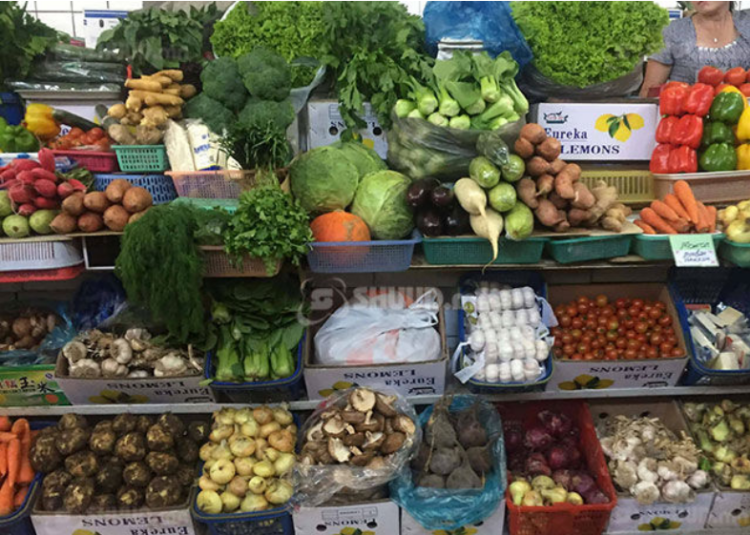 Шинэ ургацын хүнсний ногооны үнэ ханш 1000-2000 төгрөгөөр буурчээ