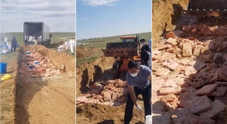 Чанарын шаардлага хангахгүй 25 тонн тахиаг устгалд оруулжээ