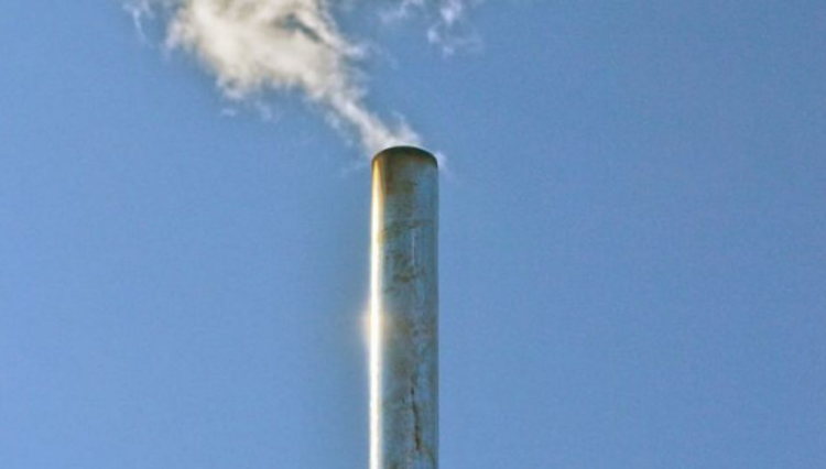 Б.Пүрэвсүрэн: Яндан хөөлөхөд хүндрэлтэй байгаа айлуудтай тулж ажиллана