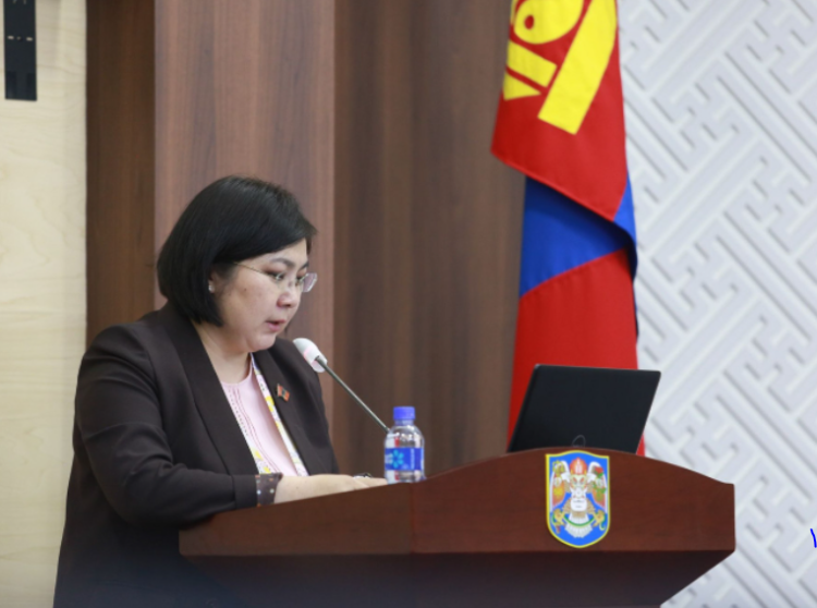 НИТХ: Хүүхдийн паркийг иргэдэд зориулж зөвхөн ногоон байгууламжаар ашиглах шийдвэр гаргалаа