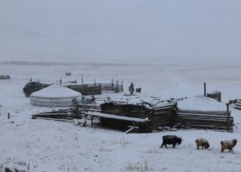 Нийт нутгийн 70 гаруй хувь нь цастай байна