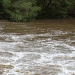 Живж байсан хоёр хүүхдийг аварсан 19 настай залуу өөрөө амиа алджээ