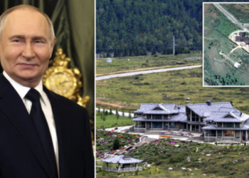 Путин хүч чадлаа сайжруулах гэж бугын цусанд ордог уу?