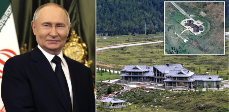 Путин хүч чадлаа сайжруулах гэж бугын цусанд ордог уу?