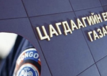 Нас барсны гэрчилгээ хуурамчаар үйлдэн, хэргээс зайлсхийжээ