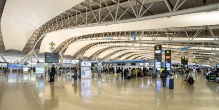 Вьетнам руу аялагчдын тоо 64 хувиар өсчээ