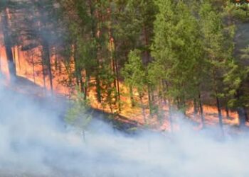 Сэлэнгэ аймагт өндөржүүлсэн бэлэн байдал зарлалаа