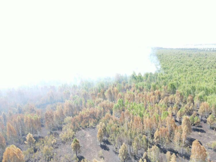 Улсын хэмжээнд 5 аймгийн 9 суманд гарсан 14 ой, хээрийн гал түймрийг унтраахаар ажиллагааг зохион байгуулж байна