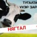 ‘ТУГАЛТАЙ ҮХЭР ЗАРНА’ ГЭХ ЗАРЫН ЦААНА
