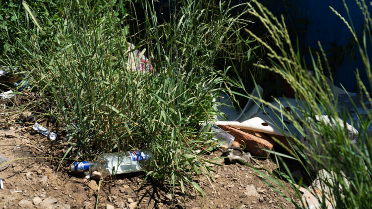 Майхан толгойгоос Дамбын пост хүртэлх гол дагуу үүссэн хогийг цэвэрлэж байна