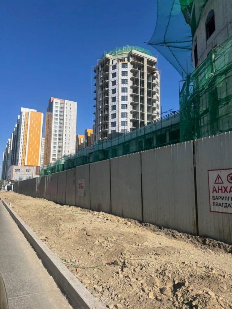 Авто замын хажуугийн моддыг сүйтгэсэн “Хангилцаг” ХХК-д хариуцлага ногдуулахаар ажиллаж байна