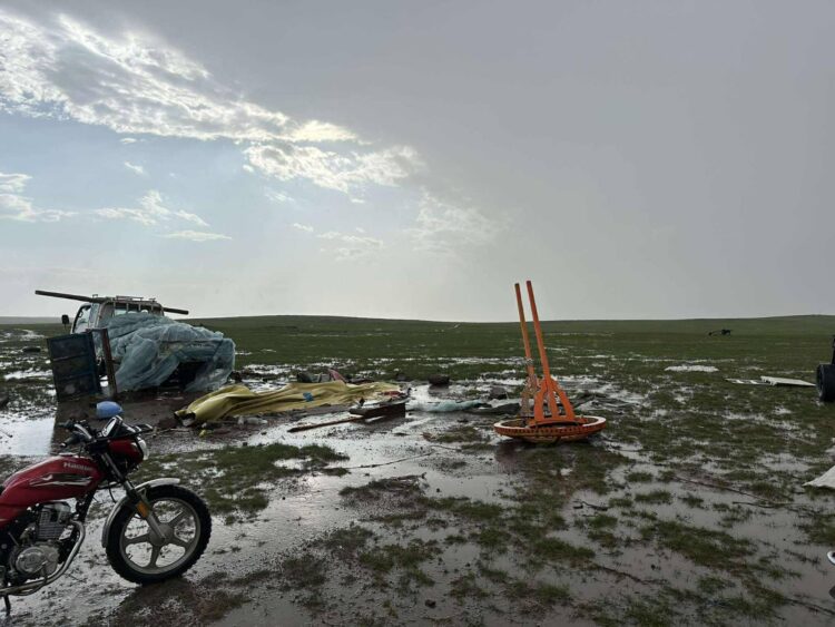 116 АЙЛЫН ГЭР НУРЖ, ХАШАА, БАЙШИНГИЙН ДЭЭВЭР ХУУЛАРСАН ЗЭРЭГ ДУУДЛАГА, МЭДЭЭЛЭЛ БҮРТГЭГДЛЭЭ