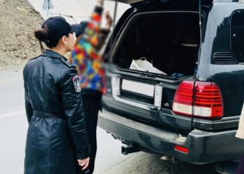 ЦЕГ: Мансууруулах үйлчилгээтэй зэрлэг олсны 13,6кг ургамлыг хураан авчээ