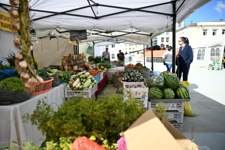 “Алтан намар-2025” өргөтгөсөн худалдаагаар бүх төрлийн ногоог хямд үнээр борлуулж байна