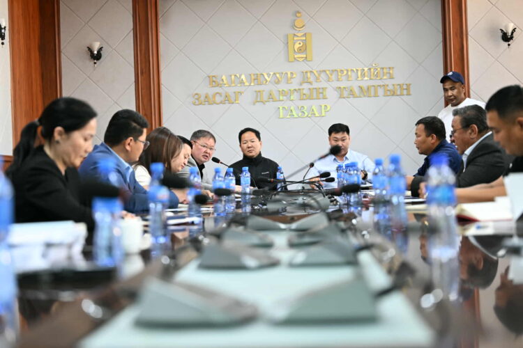 Багануур дүүрэгт нийслэлээс хэрэгжүүлж буй 16 төсөл, хөтөлбөр нийт 60 орчим хувийн гүйцэтгэлтэй байна