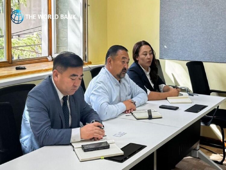 Дэлхийн банкны ОУСК ноолуурын салбарын бизнесийн орчны судалгаа хийнэ