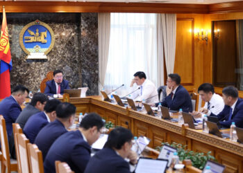 Төрийн өмчит болон төрийн өмчийн оролцоотой 109 компанийг 87 болгоно