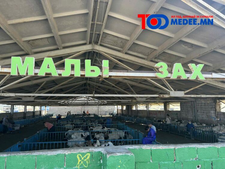 Эмээлт захад хонины үнэ болон төхөөрөх үйлчилгээний ханш