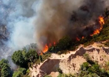 Өмнөд Европт агаарын хэм +40 хэм хүрч ойн түймэр гарч байна