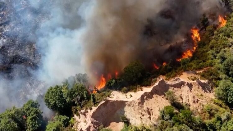 Өмнөд Европт агаарын хэм +40 хэм хүрч ойн түймэр гарч байна